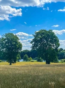 Działka Nowy Klincz, Kościerzyna budowlana, jezioro, las