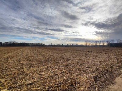 Działka Rolna Kobylice 1.55 ha