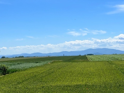 Nyski (Pow.), Paczków (Gm.), Gościce