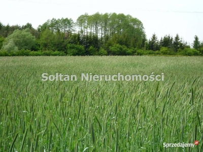 Oferta sprzedaży gruntu 25800m2 Kotorydz