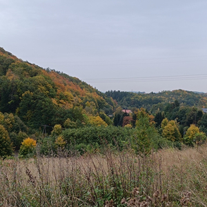 Wałbrzyski, Stare Bogaczowice, Struga