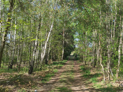 Warszawski Zachodni, Łomianki, Dziekanów Leśny