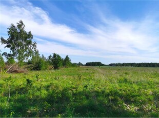 Działka budowlana Sprzedaż Sierakowice Lewe, Polska