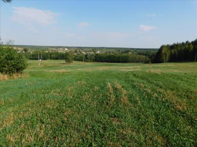 Działka na sprzedaż, Golubsko-Dobrzyński, Ciechocin