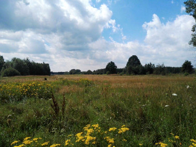 Działka budowlana Bednary