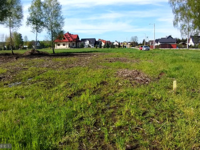 Działka budowlana Borek Szlachecki