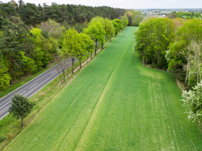 Działka budowlana Brzozów