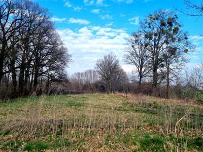 Działka budowlana Dąbrowa