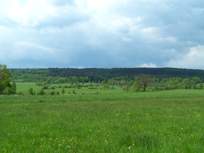 Działka budowlana Długopole Dolne