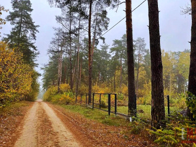 Działka budowlana Dzikie-Kolonia