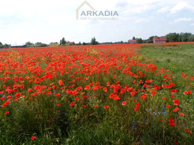 Działka budowlana Głusk