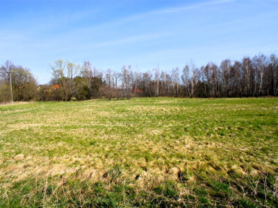 Działka budowlana Lipowa