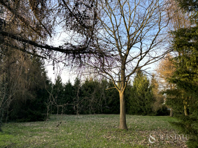 Działka budowlana Michałów-Grabina