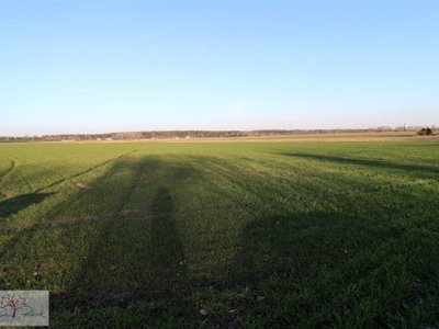 Działka budowlana Piorunów