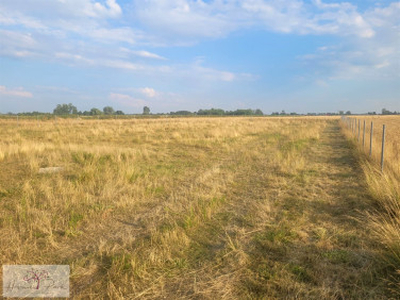 Działka budowlana Skotniki