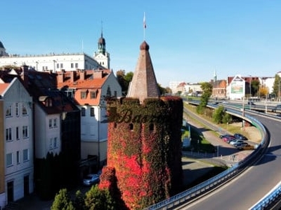 Działka budowlana Szczecin