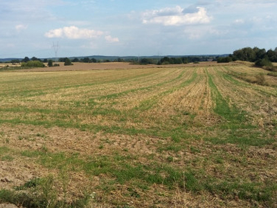 Działka budowlana, ul. Celichowskich