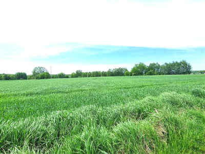 Działka budowlana, ul. Żeromskiego