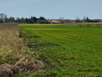 Działka budowlana, ul. Jałowcowa