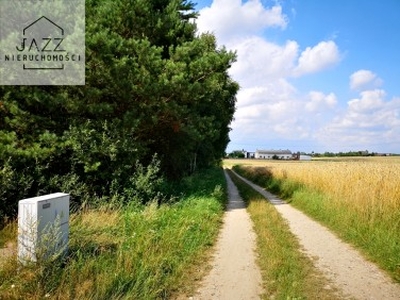 Działka budowlana, ul. Jarzębinowa