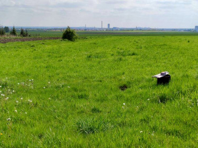 Działka budowlana, ul. Koniczynowa