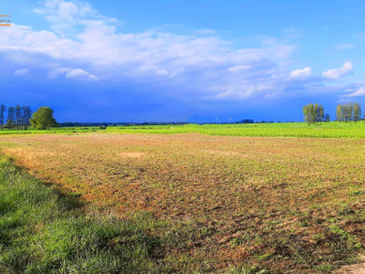 Działka budowlana, ul. Pilska