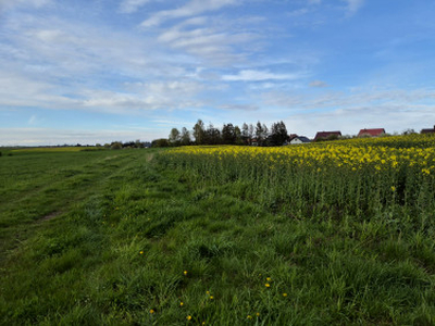 Działka budowlana, ul. Polna