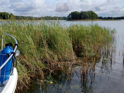 Działka budowlana Wrony