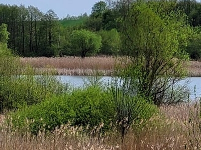 Działka budowlana Zieleniewo