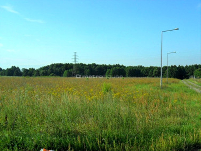 Działka budowlana, ul. Królewska