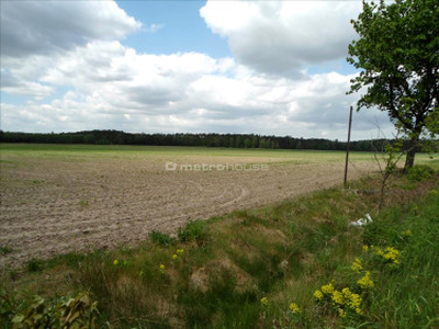 Działka rolno-budowlana Luciny