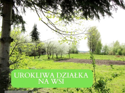 Działka Namysłów