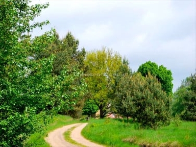 Działka rolno-budowlana Pąchy