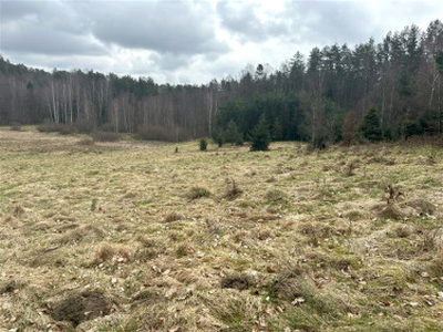 Działka rolna Bieszkowice