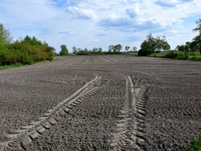 Działka rolna Czerwona Niwa