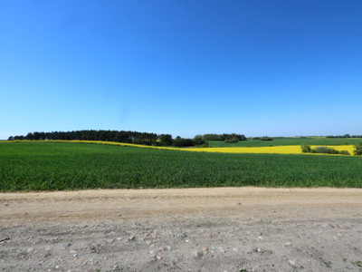 Działka rolna Moryń