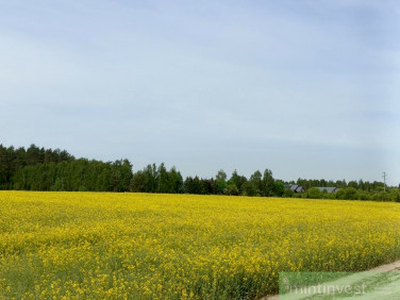 Działka rolna Stawno