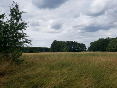 Działka rolna Zieleniewo