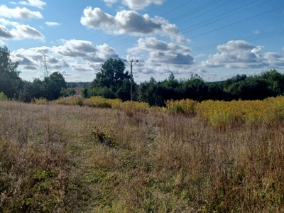 Działka rolno-budowlana Bartąg