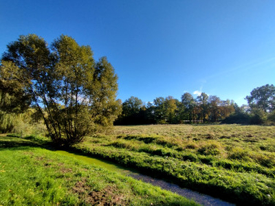 Działka rolno-budowlana Chojnów