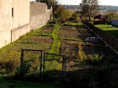 Działka rolno-budowlana Dąbie