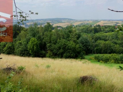 Działka rolno-budowlana Łąkta Górna