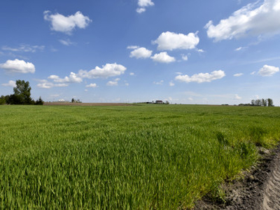 Działka rolno-budowlana Obrowo