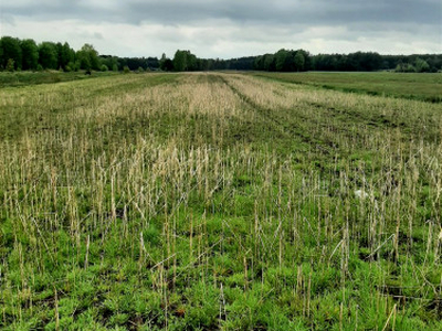 Działka rolno-budowlana Ostrowy nad Okszą