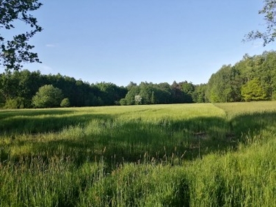 Działka rolno-budowlana Siedlec Mały