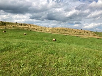 Działka rolno-budowlana Straduny