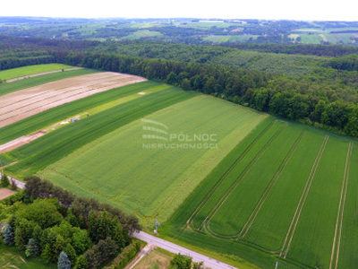 Działka rolno-budowlana Zagaje