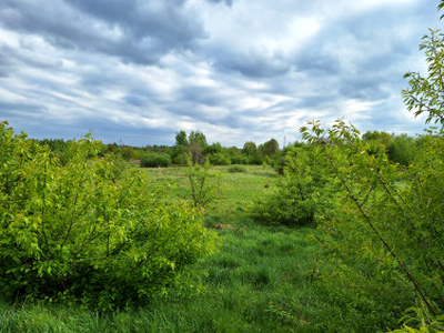 Działka rolno-budowlana Zwonowice