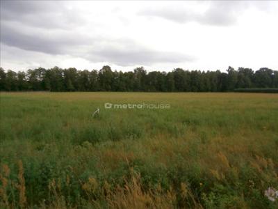 Działka budowlana Rybno Wielkie