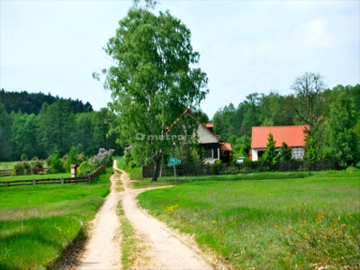 Działka rolno-budowlana Pąchy